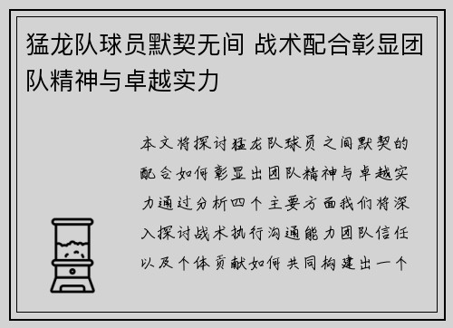 猛龙队球员默契无间 战术配合彰显团队精神与卓越实力