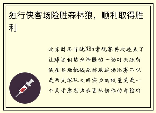 独行侠客场险胜森林狼，顺利取得胜利