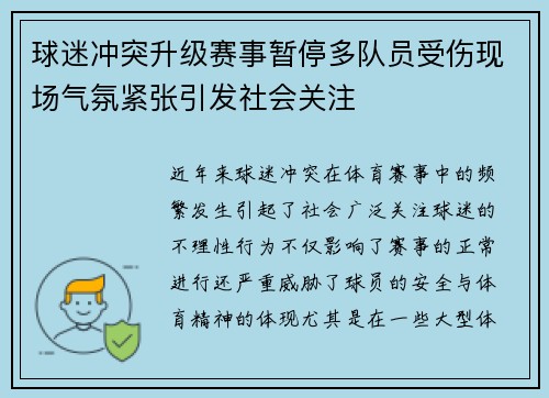 球迷冲突升级赛事暂停多队员受伤现场气氛紧张引发社会关注
