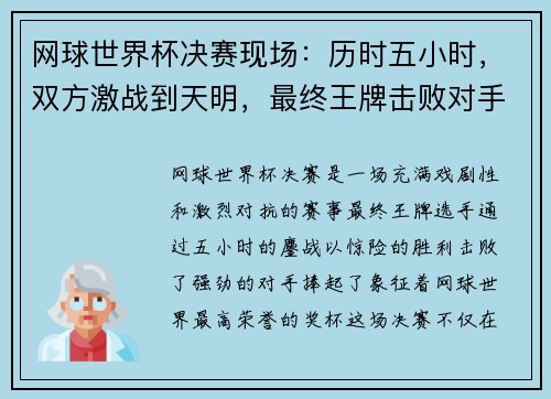 网球世界杯决赛现场：历时五小时，双方激战到天明，最终王牌击败对手夺冠